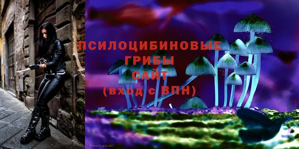 круглые Алексеевка